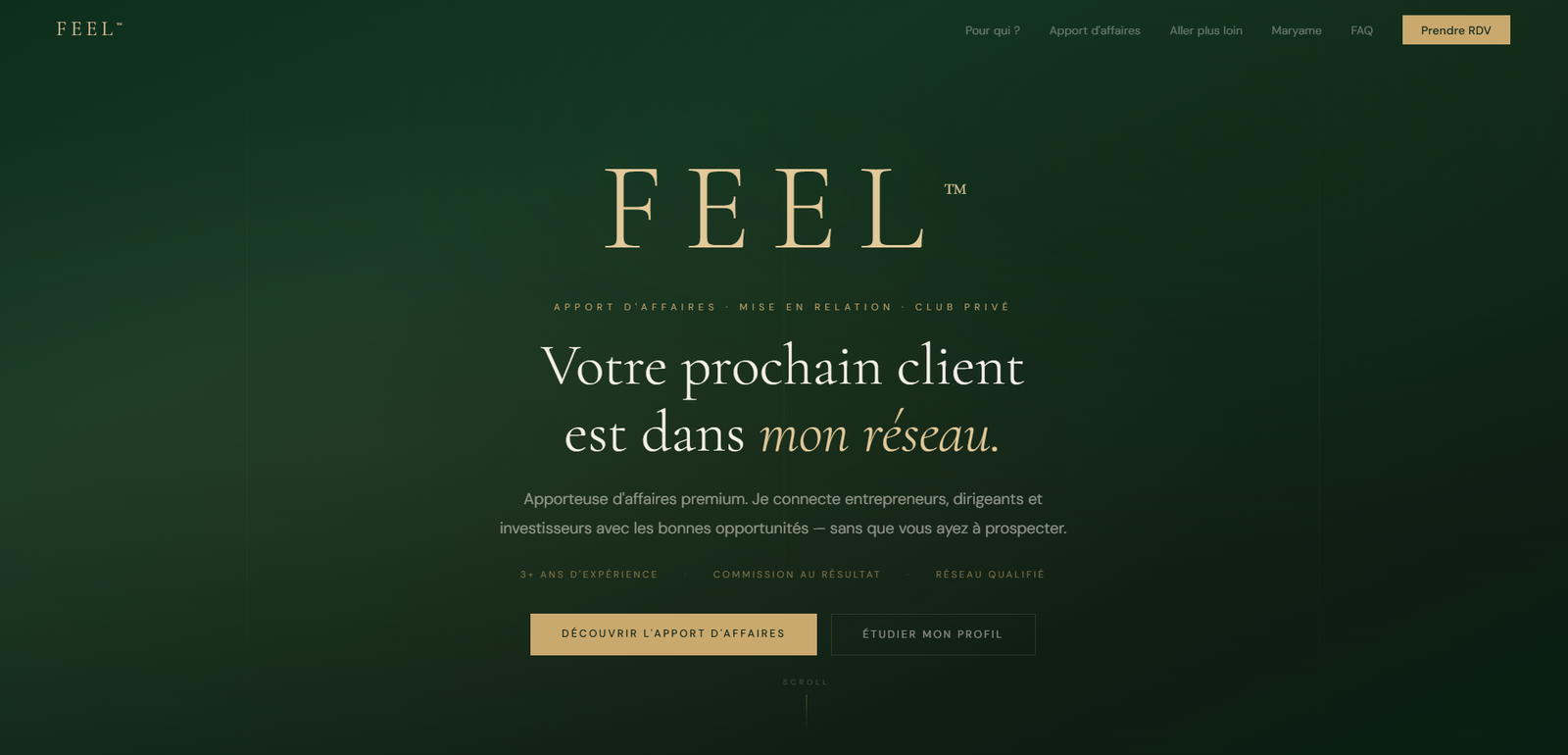 Aperçu du projet FEEL